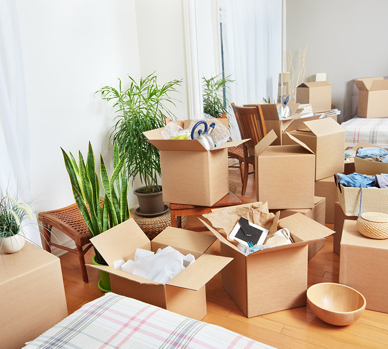 Villa Movers and Packers in Dubai