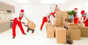 packers and movers services al Ain