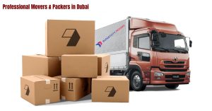 Budget City Movers and Packers in Business Bay Dubai