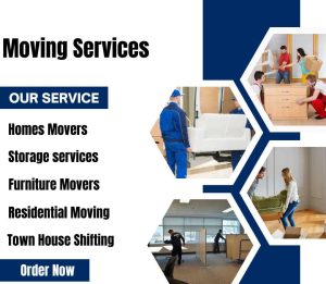 Movers in UAE 