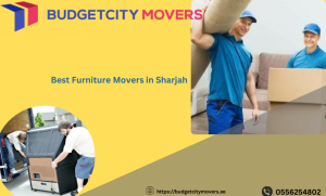 Best Furniture Movers in Sharjah