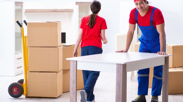 Professional Movers and Packers Dubai