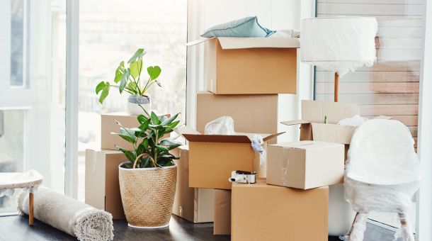 Movers and Packers Dubai