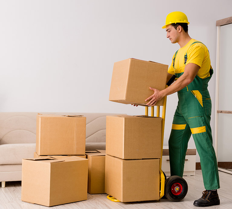 Affordable movers performing loading and unloading tasks efficiently